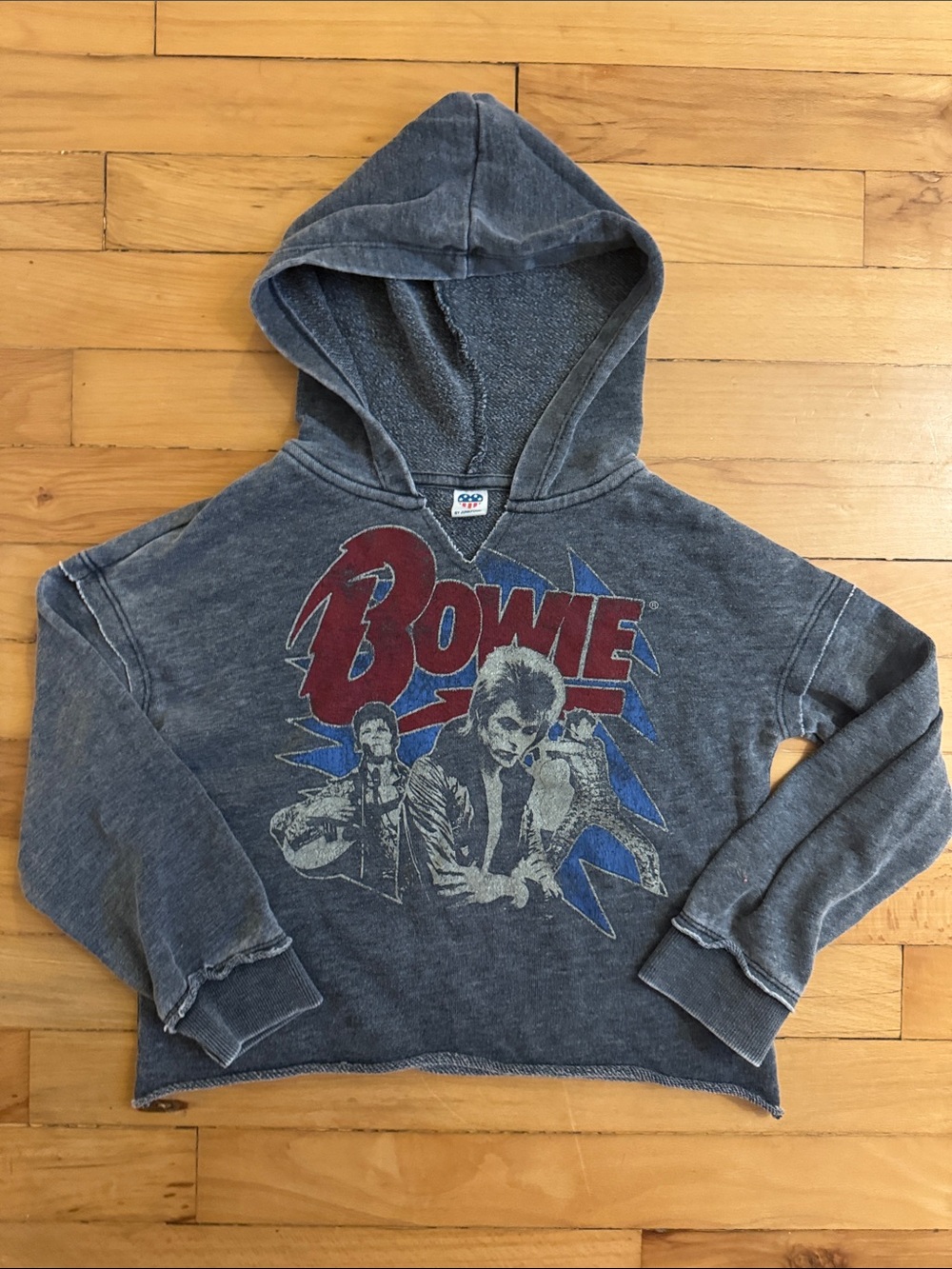 Junk Food Kids Bowie Graphic Hoodie - Grey with Red & Blue Print 5T